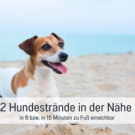Hunde Ohne Aufpreis - Hagemeister - Auch Im Winter Toll! Sauna Im Haus - 6 Min Zum - 2 Ueberdachte Balkone Mit Strandkoerben Lejlighed *