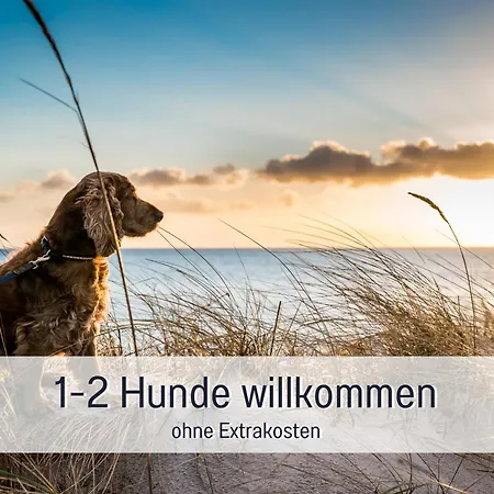 Apartment Hunde Ohne Aufpreis - Hagemeister - 6 Min Zum - Mit 2 Balkonen - Gratis Sauna & Coworking Space Im Haus Sellin (Rugen)
